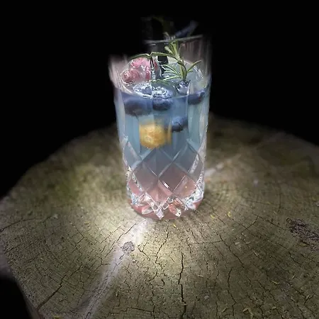 Appartement Forsthaus Crimmitschau